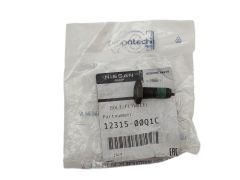 Bout Origineel 1231500Q1C 123156846R Renault Nissan