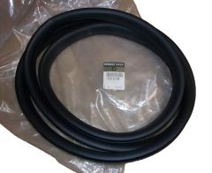 Deurrubber Achter Origineel Renault 769230258R
