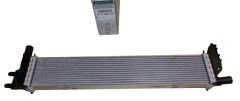 Intercooler Nieuw Origineel 214108831R Dacia