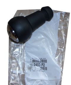 Versnellingspook Origineel Citroen Peugeot C2 C3 207 407 2403p2