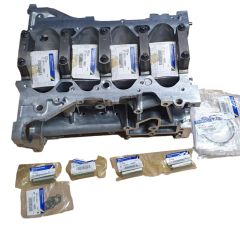 Motorblok Nieuw Origineel 2.0 16V 110107443R Renault