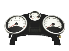 Snelheidsmeter Peugeot 207 9666132380 A2C53337652 57044