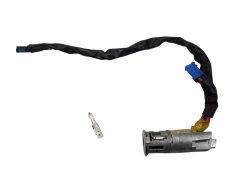 Contactslot Peugeot 206 N0501539 4162Z1 Valeo 14929