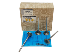 Klep Renault 132024905R Origineel