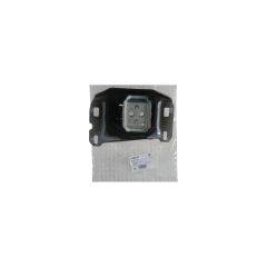 Motorsteun Doe Citroen Peugeot 538D47 9821257480 Hutchinson