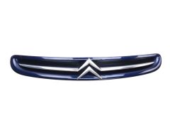 Radiateur Grille 7804J7 9632099177 Citroen Xsara Picasso 99-03 1013