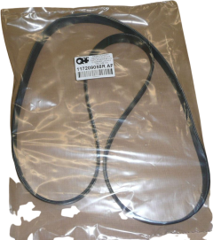 Dynamo Riem Nieuw Renault Clio Captur 1.2-0.9 TCe 117209058R