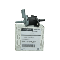 Brandstofklep Origineel Renault Nissan 1981000Q0B 208853765R