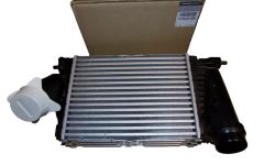 Intercooler Origineel 144963358R Renault
