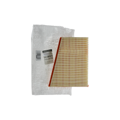 Luchtfilter Origineel Renault Kangoo II 1.5 DCI 165469029R