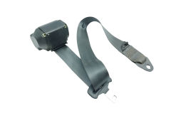 Veiligheidsgordel Midden Achter 7700309984 Renault Kangoo 1