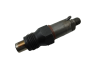 Brandstofinjector Citroen Peugeot LCR6734302H 198491 2.1 TD