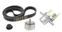 Aandrijfriemspanner Origineel Ren Master Laguna Espace 2.0-2.3 dCi 8200941086