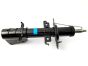 Schokdemper Voor Origineel Kangoo II Kubistar 543020572R
