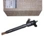Brandstofinjector Origineel 166007246R Renault