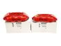 Remklauwen Voor Renault Clio 3 RS 410118514R 410015432R Brembo
