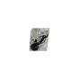 Claxon Origineel 9830104080 Citroen Peugeot