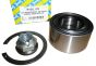 Wiellager Voor Doe Renault R155.123 402105733R SNR